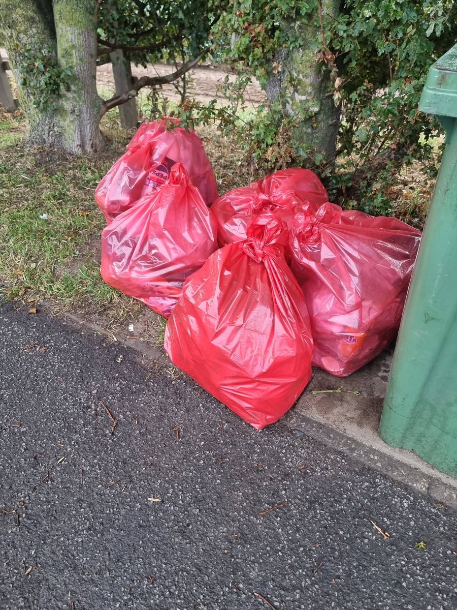 Five red rubbish sacks stacked at the kerb beside a green wheelie bin